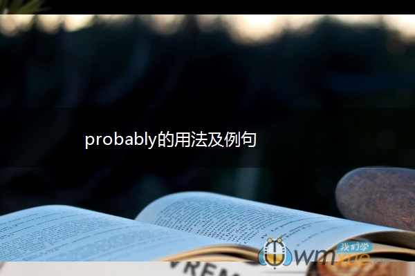 probably的用法及例句