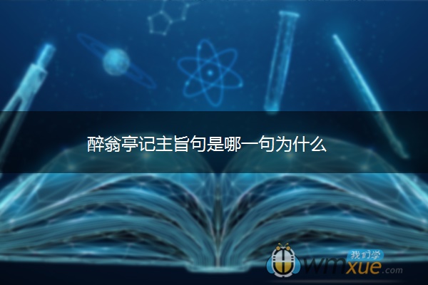 醉翁亭记主旨句是哪一句为什么