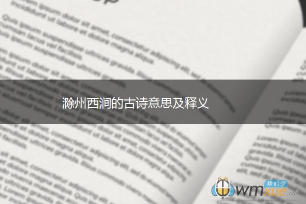 滁州西涧的古诗意思及释义