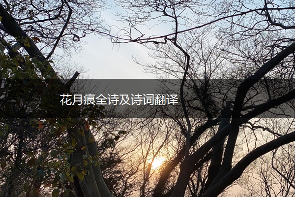 花月痕全诗及诗词翻译