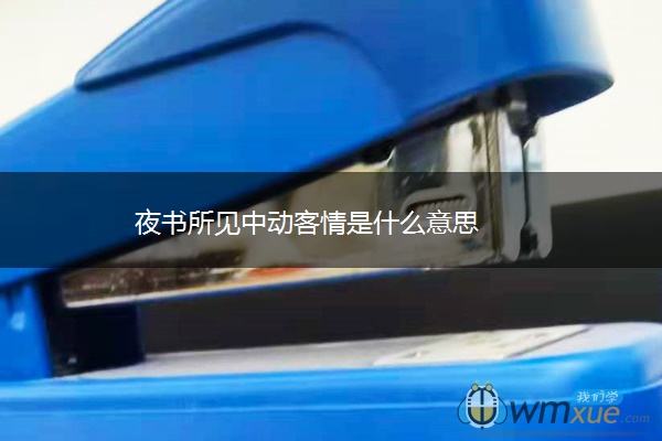 夜书所见中动客情是什么意思
