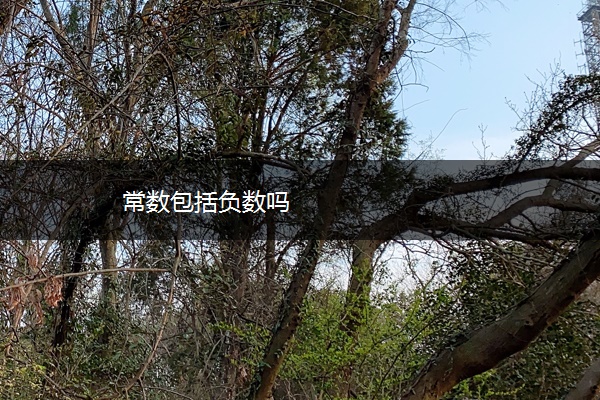 常数包括负数吗