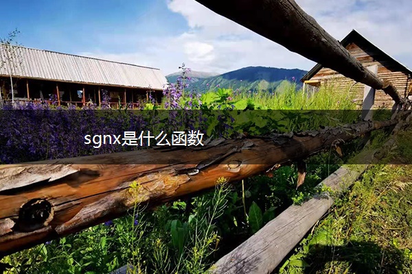 sgnx是什么函数