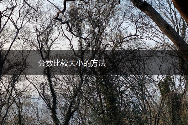 分数比较大小的方法