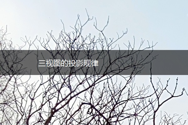 三视图的投影规律