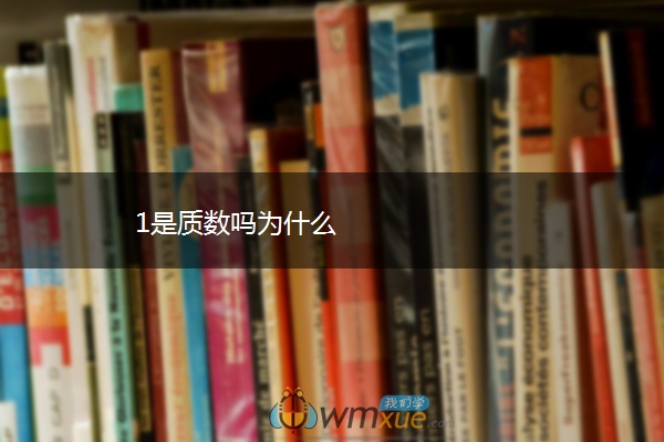 1是质数吗为什么