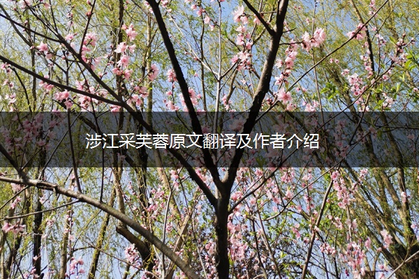涉江采芙蓉原文翻译及作者介绍
