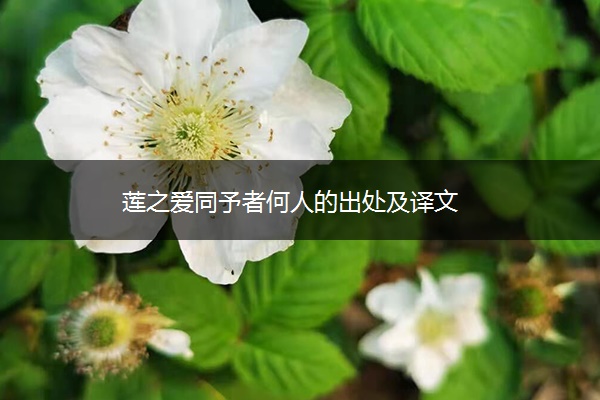 莲之爱同予者何人的出处及译文