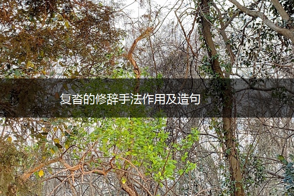 复沓的修辞手法作用及造句