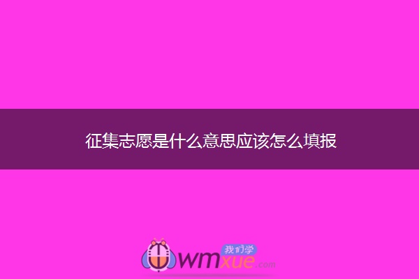 征集志愿是什么意思应该怎么填报