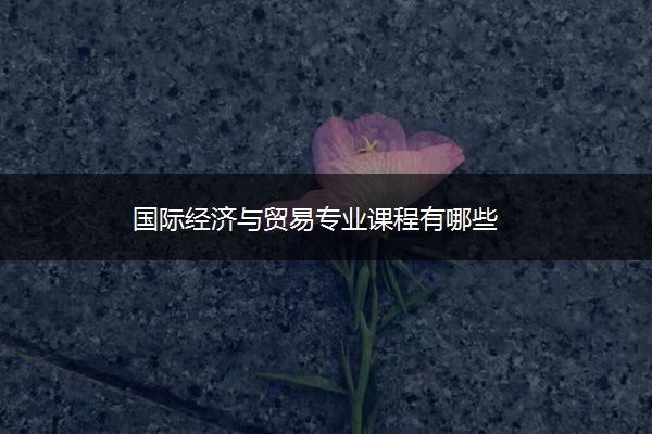 国际经济与贸易专业课程有哪些 国际经济与贸易专业课程有哪些