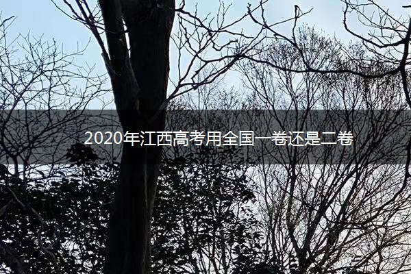 2020年江西高考用全国一卷还是二卷