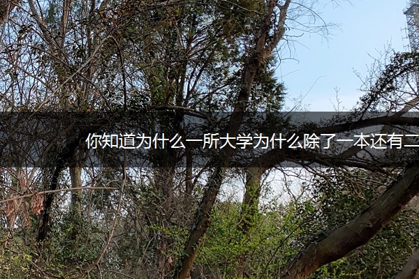 你知道为什么一所大学为什么除了一本还有二本吗？