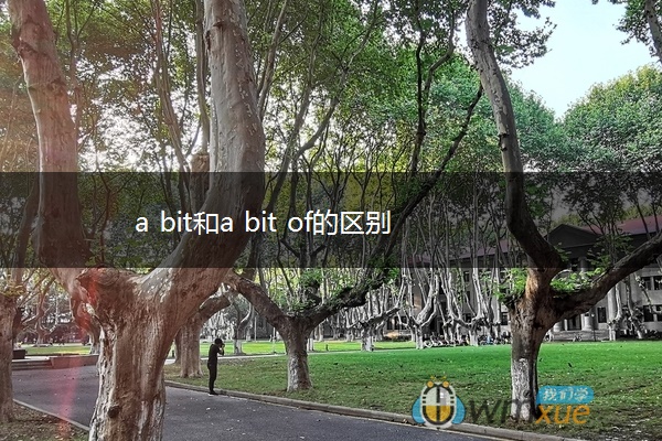 a bit和a bit of的区别