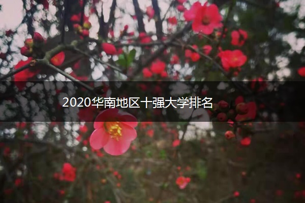 2020华南地区十强大学排名