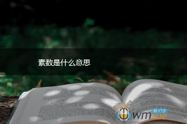 素数是什么意思