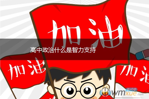 高中政治什么是智力支持