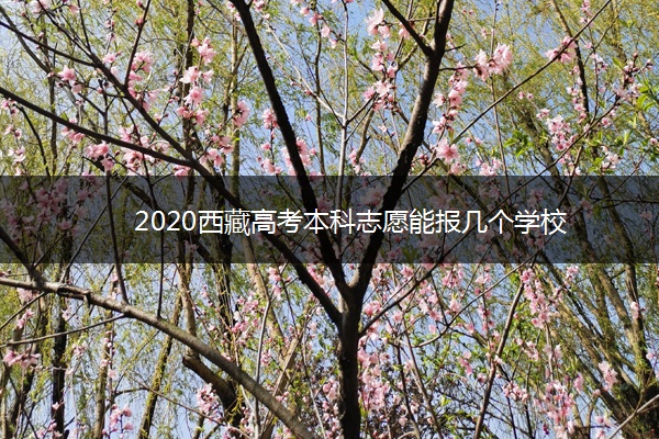 2020西藏高考本科志愿能报几个学校