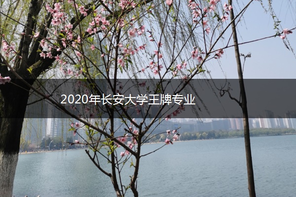 2020年长安大学王牌专业