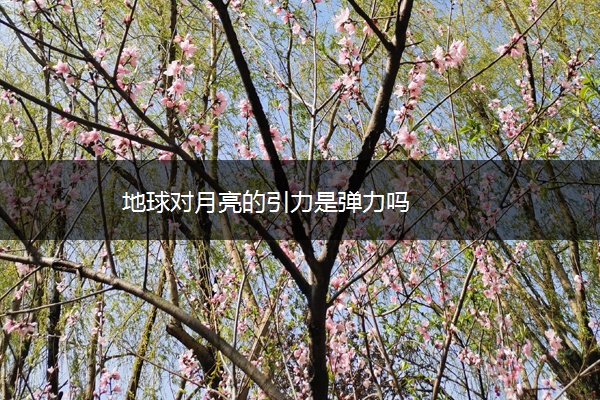 地球对月亮的引力是弹力吗