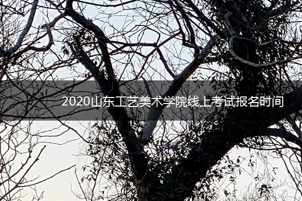 2020山东工艺美术学院线上考试报名时间最新