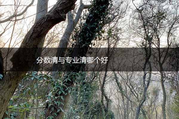 分数清与专业清哪个好