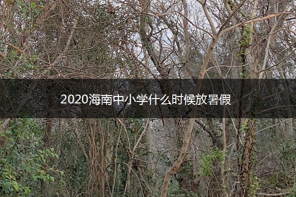 2020海南中小学什么时候放暑假