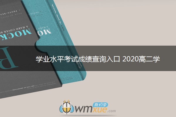 学业水平考试成绩查询入口 2020高二学业水平考试查询