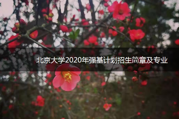 北京大学2020年强基计划招生简章及专业
