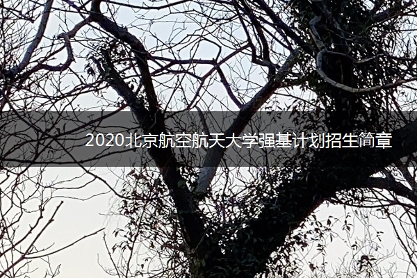 2020北京航空航天大学强基计划招生简章及计划