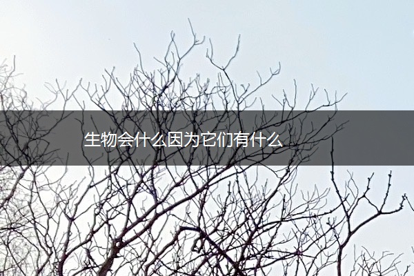 生物会什么因为它们有什么