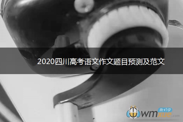 2020四川高考语文作文题目预测及范文