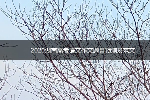 2020湖南高考语文作文题目预测及范文