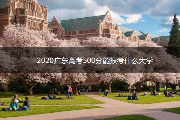 2020广东高考500分能报考什么大学