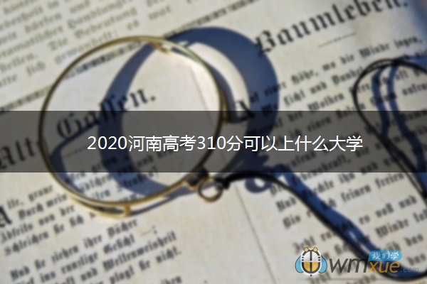 2020河南高考310分可以上什么大学