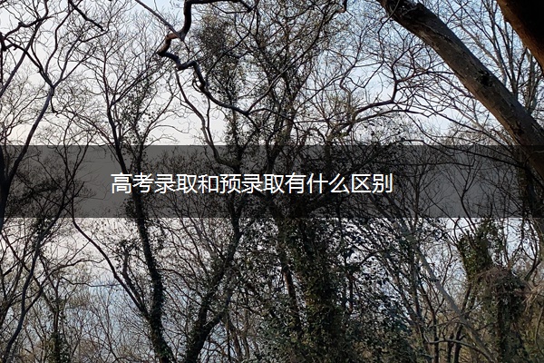 高考录取和预录取有什么区别