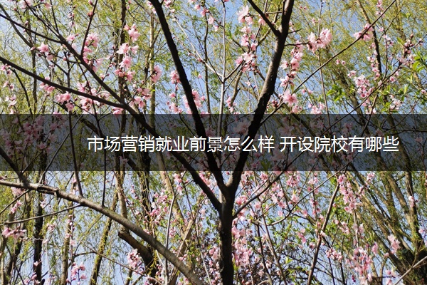 市场营销就业前景怎么样 开设院校有哪些