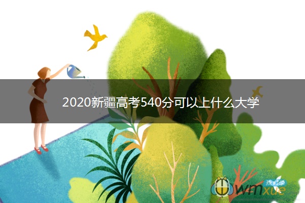 2020新疆高考540分可以上什么大学