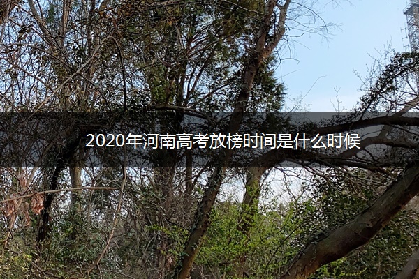 2020年河南高考放榜时间是什么时候