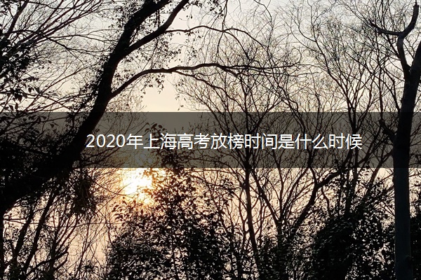 2020年上海高考放榜时间是什么时候