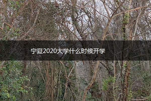 宁夏2020大学什么时候开学