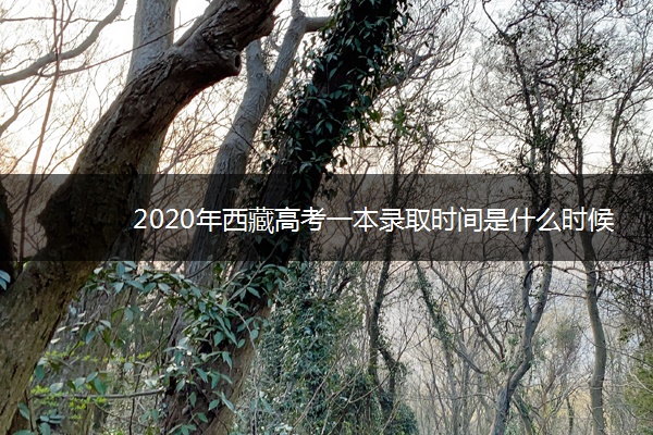 2020年西藏高考一本录取时间是什么时候