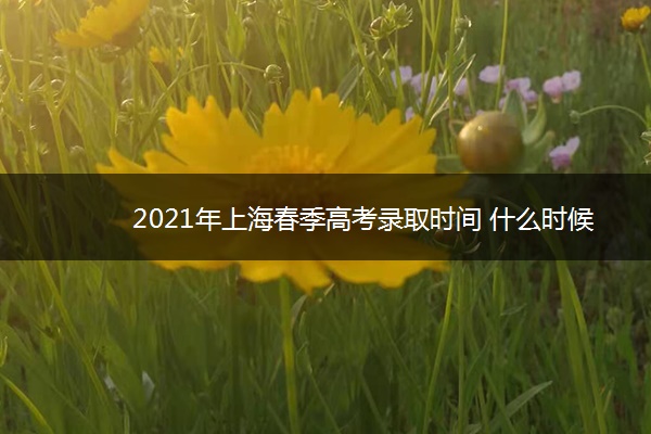 2021年上海春季高考录取时间 什么时候录取