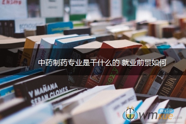 中药制药专业是干什么的 就业前景如何