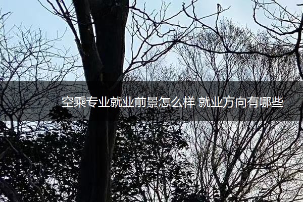 空乘专业就业前景怎么样 就业方向有哪些