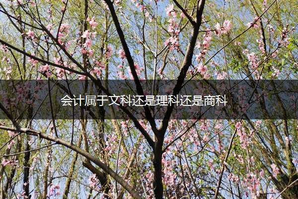 会计属于文科还是理科还是商科