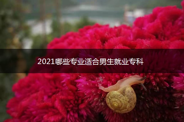 2021哪些专业适合男生就业专科