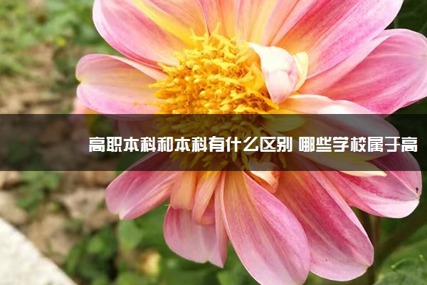 高职本科和本科有什么区别 哪些学校属于高职本科