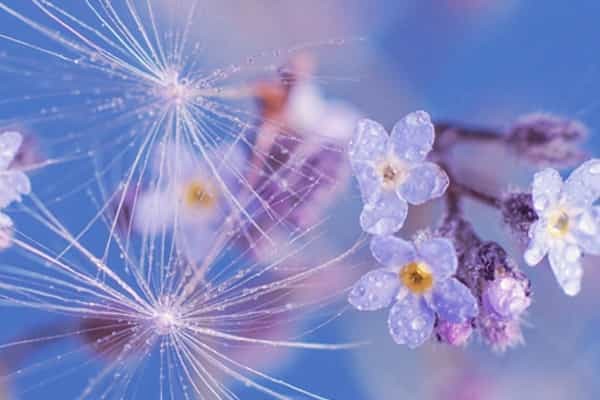 新疆科技学院各省最低录取分数线及位次排名 2025考多少分能上新疆科技学院