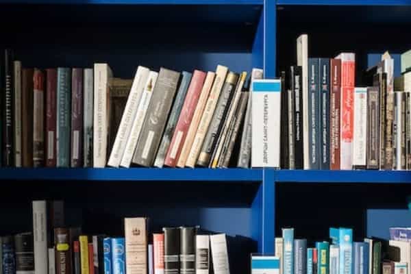 2025年新疆理工学院招生章程及录取规则解读